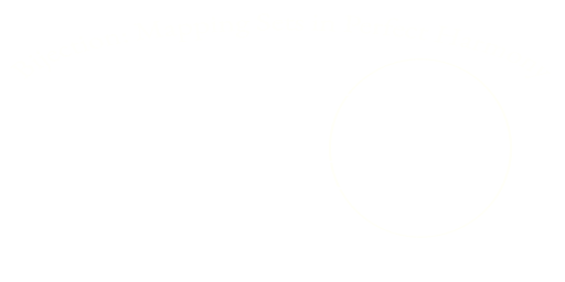 Representación gráfica con conjuntos de una aplicación biyectiva